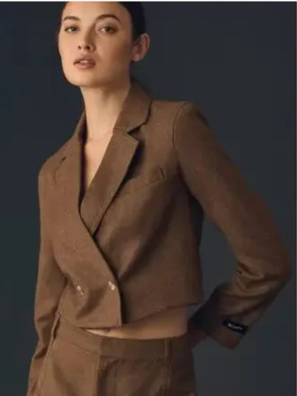 EmRata x AG Berlin Blazer